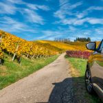 Car,Standing,On,Road,In,Vineyards,With,Beautiful,Reflection,On