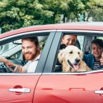 Beautiful,Young,Family,Travelling,By,Car,With,Dog